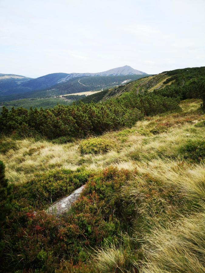 Apartament Malinowy Zakatek Triventi Mountain Residence Karpacz Eksteriør bilde